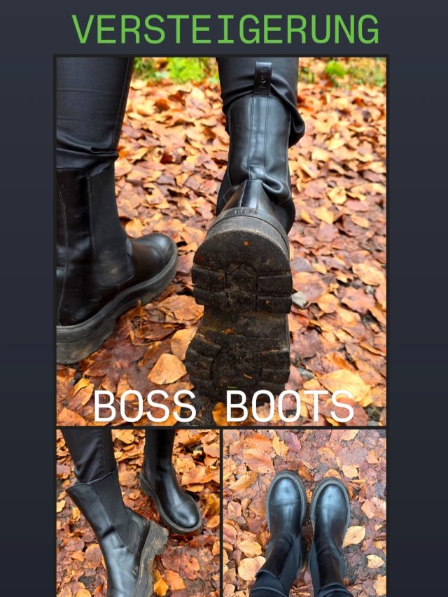 Versteigerung Boots