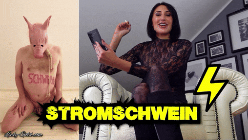 Stromschwein Darf ich vorstellen? Mein Versuchskaninchen... mein Testobjekt... mein Stromschwein! Es hat mich schon immer interessiert, wie wirksam so ein unscheinbarer Elektroschocker ist! Irgendjemanden muss es ja treffen... Haha! Setzen wir das Sklavenschwein unter Strom, fügen 50 Demütigungen dazu und lassen es quieken...